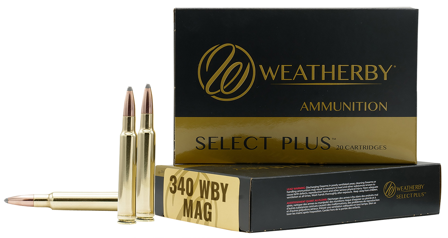 340WBY 225GR HORNADY INTERLOCK340 WBY Mag